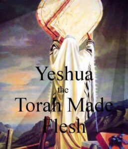 Read more about the article Yeshua HaMashiach dans Réé