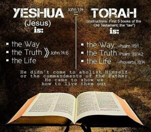 Read more about the article Yeshua HaMashiach dans Noa’h